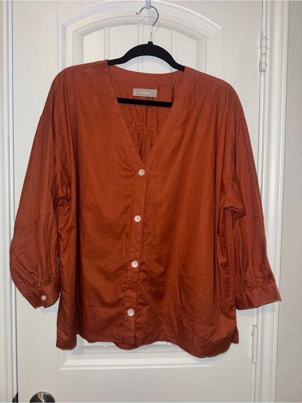 Everlane  Rust Button-Front cotton Blouse contemporary basic